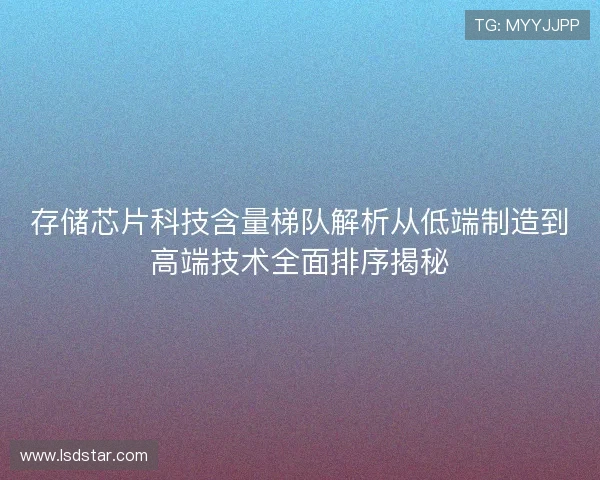 存储芯片科技含量梯队解析从低端制造到高端技术全面排序揭秘